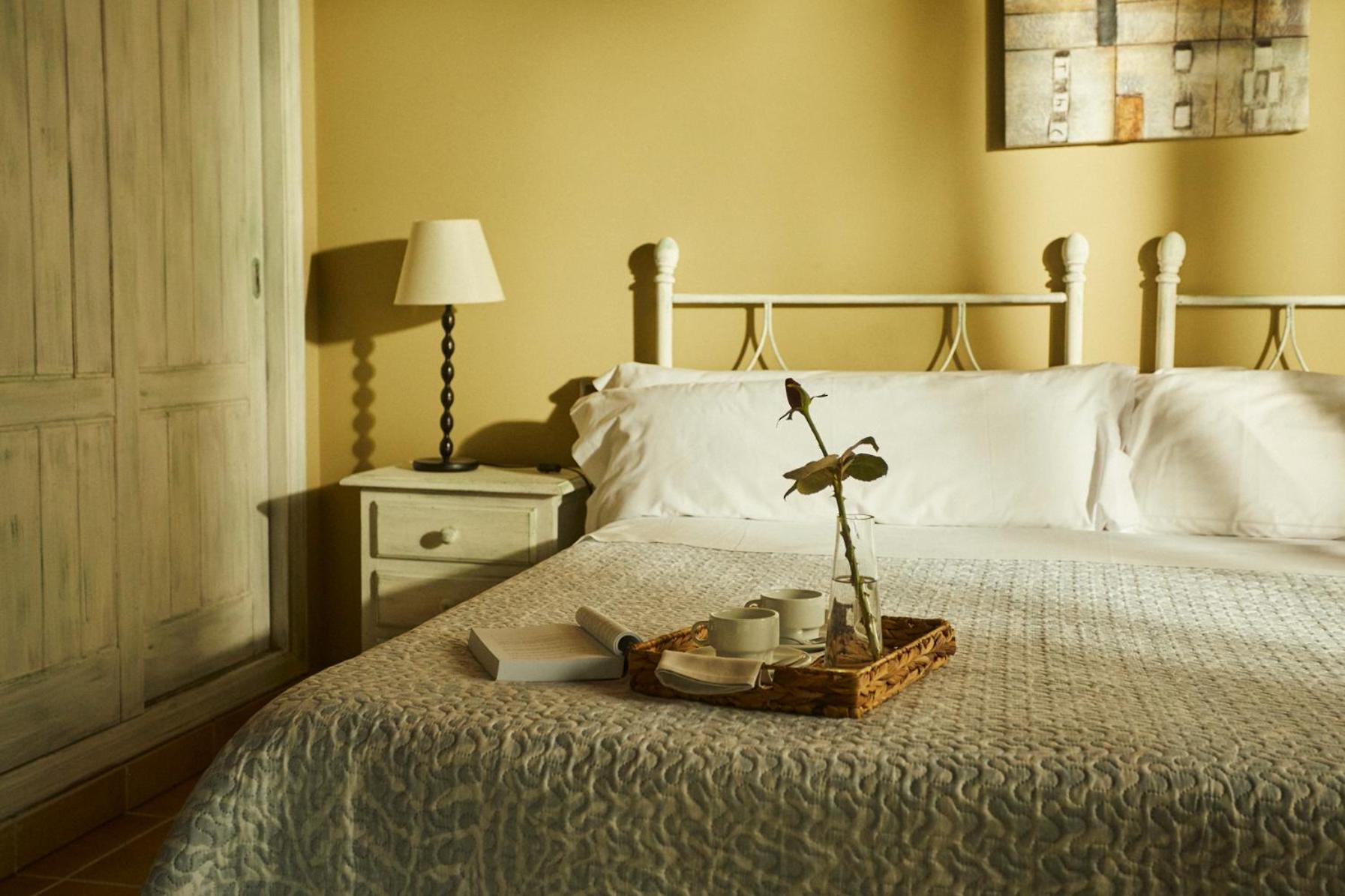 Hotel El Mirlo Blanco 칸델레다 외부 사진